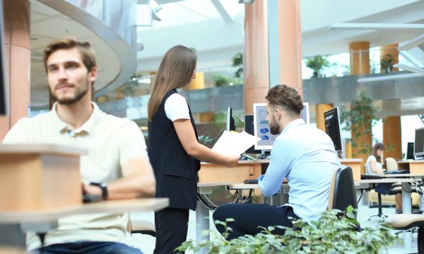 Helyi BSSC cégek Debrecenben