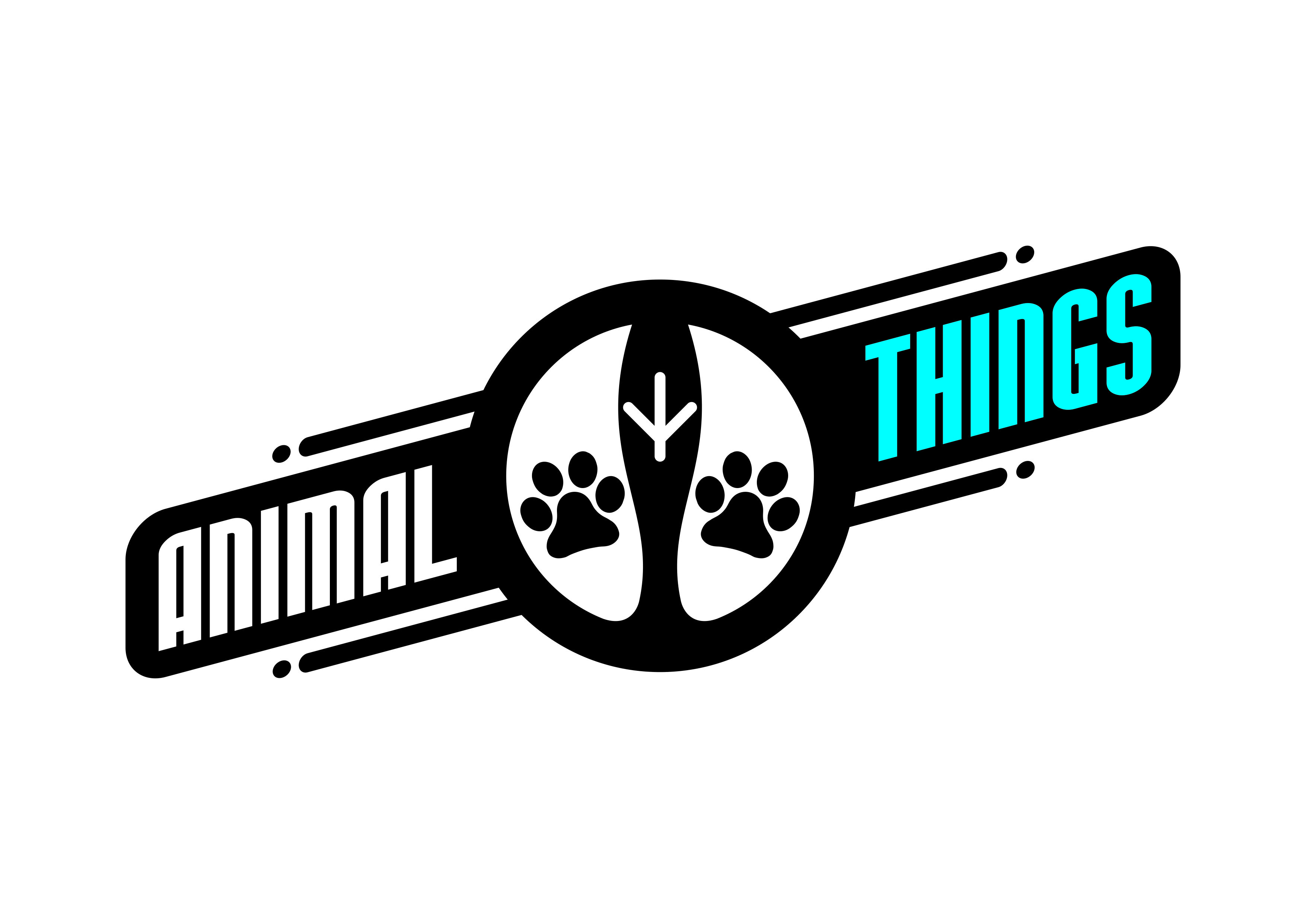 Telephelyvezető / Irodai asszisztens munka Szentistvánon - Animal Things Kft.