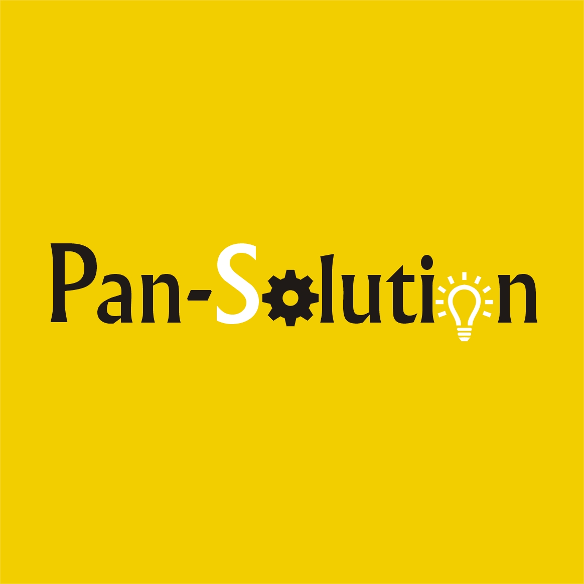 PAN-Solution Kft.