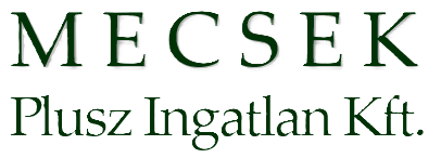 Ingatlanközvetítő munka Pécsen B kategóriás jogosítvánnyal - MECSEK Plusz Ingatlan Kft.