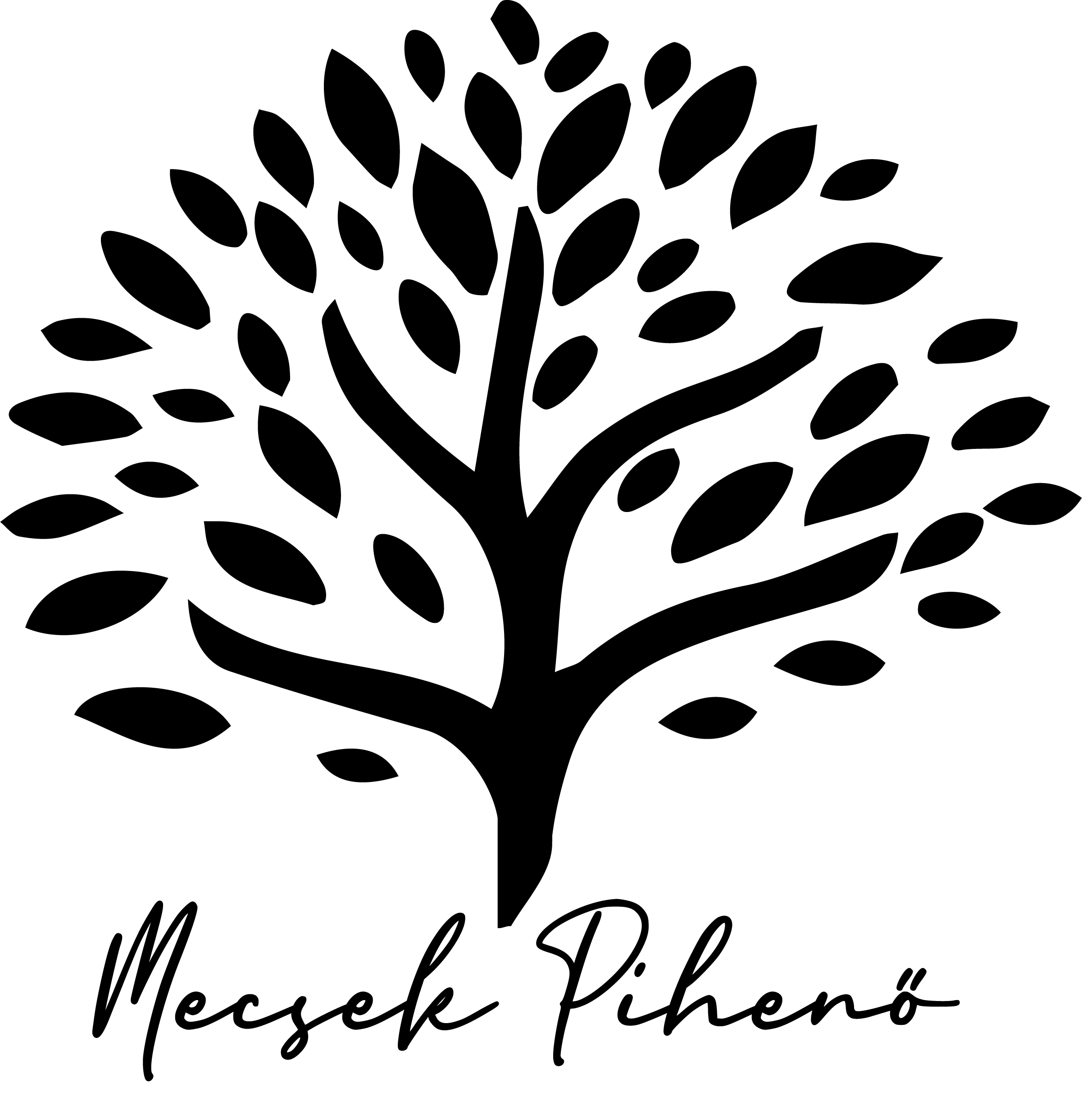 Szakács munka azonnali munkakezdéssel a Mecsek Pihenő Étteremben - Mecsek Road Kft.