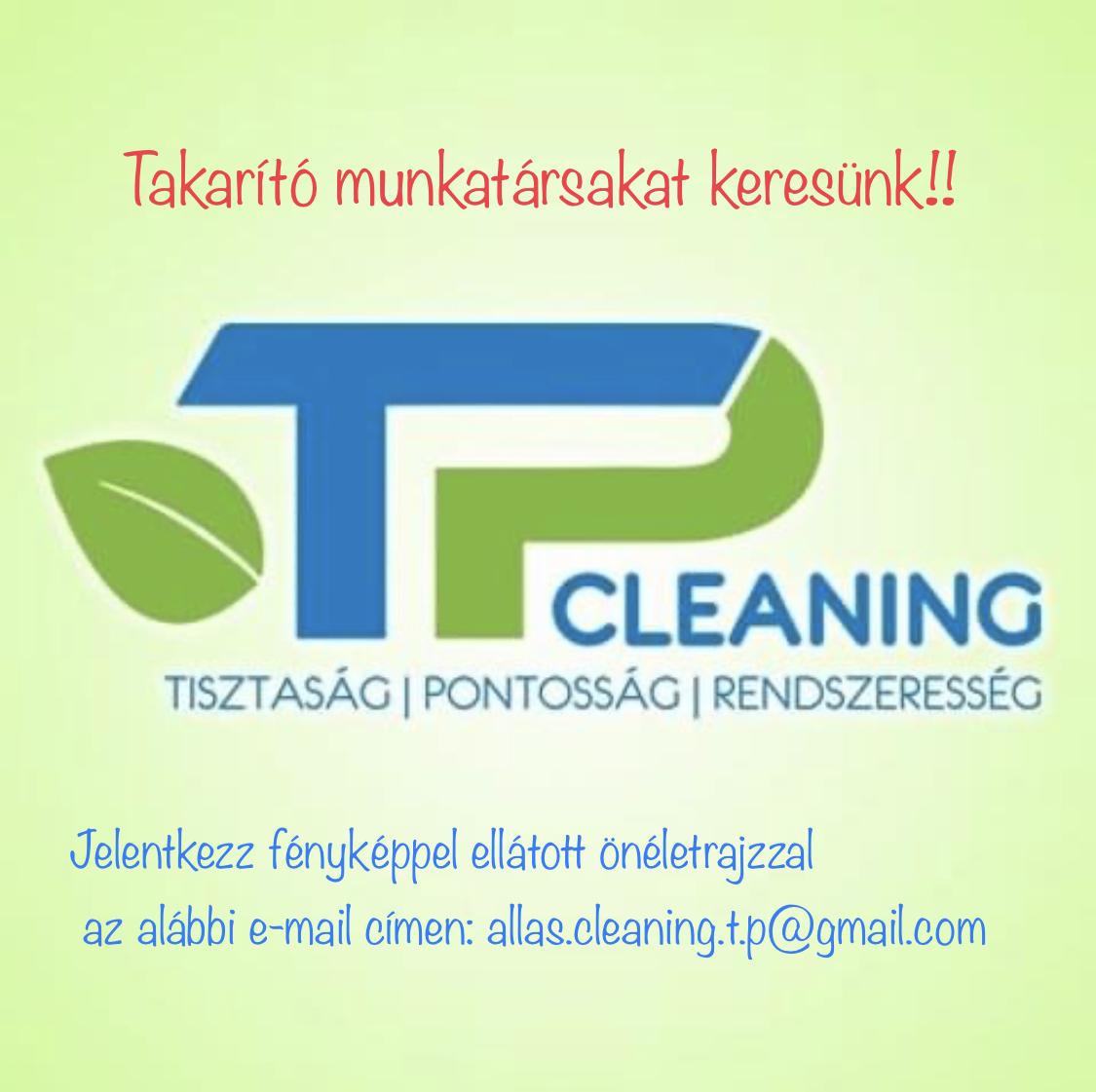 T-P Cleaning and Garden Kft.