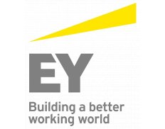 Ernst & Young Tanácsadó Kft.